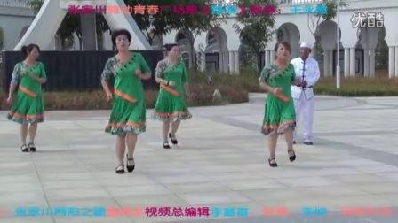 踏浪广场舞视频,舞动青春，活力四溢的健身风采